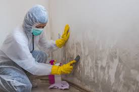 Best Residential Mold Inspection & Testing  in Converse, TX